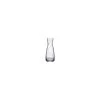 Carafe En Verre Transparente Ypsilon 9,75 Oz