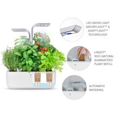 Jardin Intérieur Véritable Smart - Blanc Arctique -Maison-Cuisine 7351030 9