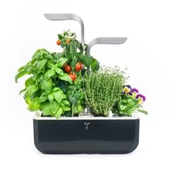 Jardin Intérieur Véritable Smart - Noir
