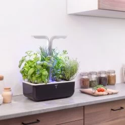 Jardin Intérieur Véritable Smart - Noir -Maison-Cuisine 7351031 5