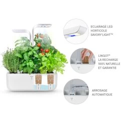 Jardin Intérieur Classique - Blanc -Maison-Cuisine 7351034 8fr