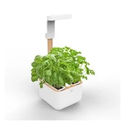 Jardin Intérieur Botaneo Eylo - Blanc