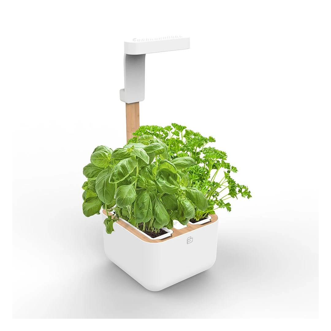 Jardin Intérieur Botaneo Eylo - Blanc 3 Jardin Intérieur Botaneo Eylo - Blanc