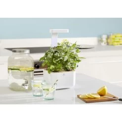 Jardin Intérieur Botaneo Eylo - Blanc 9 Jardin Intérieur Botaneo Eylo - Blanc -Maison-Cuisine 7351155 4