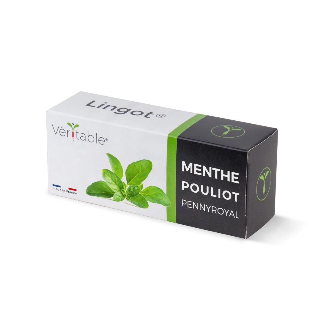 Lingot Véritable - Menthe Pennyroyal 4 Lingot Véritable - Menthe Pennyroyal – Image 2