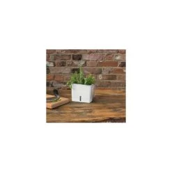 Cole & Mason Jardinière à Fines Herbes Avec Hydratation Automatique -Maison-Cuisine iikw528zjyqraedcnhsa 65362